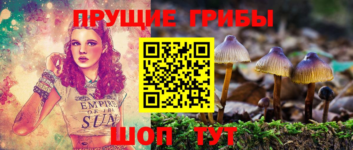 Рузаевка  Галлюциногенные грибы мицелий  Вход с VPN 