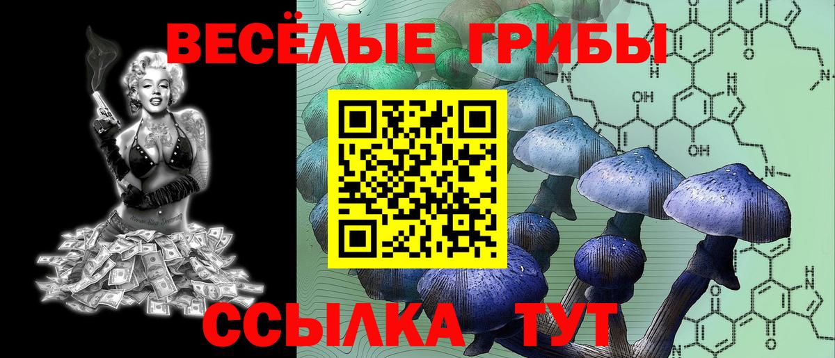 Псилоцибиновые грибы GOLDEN TEACHER Рузаевка